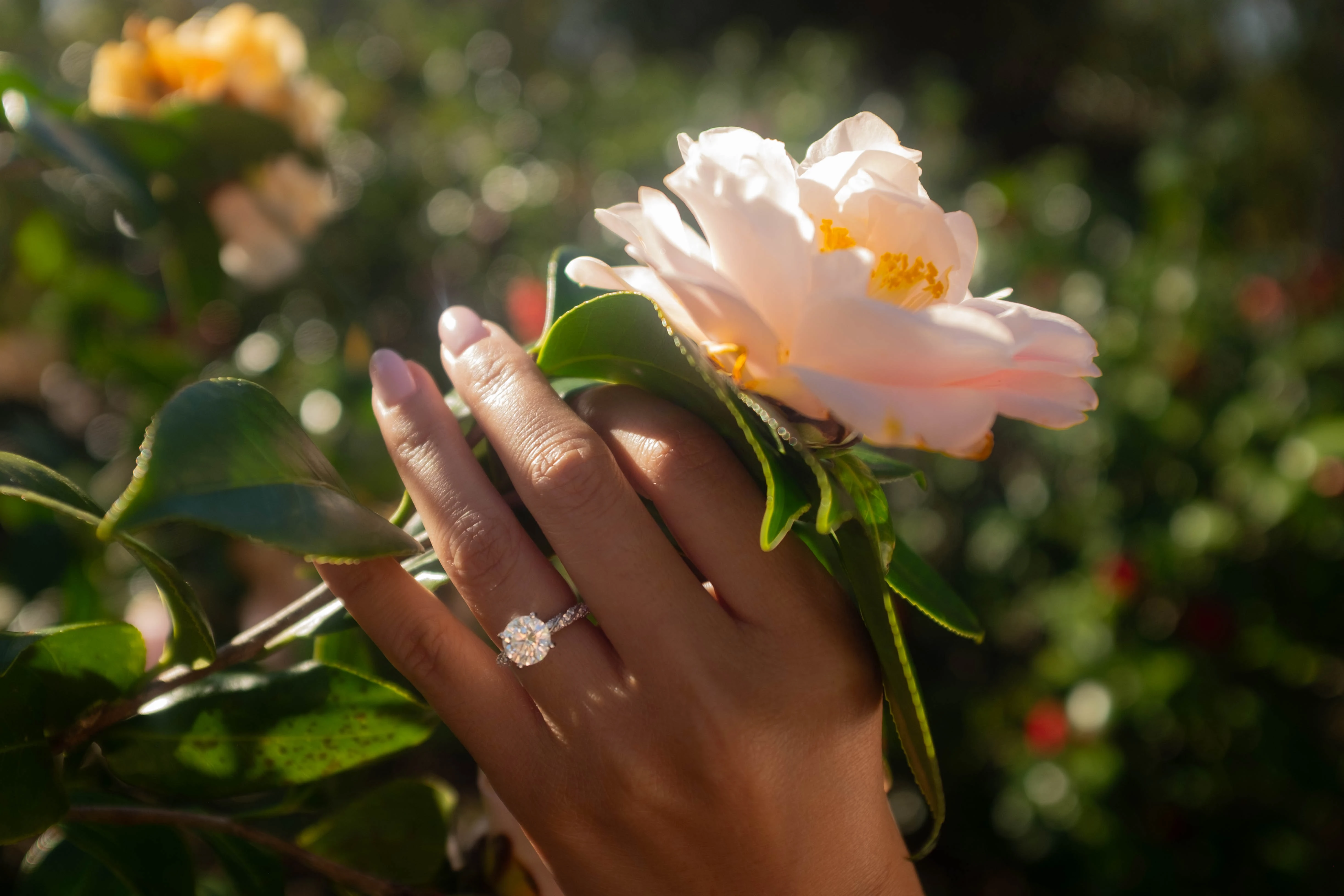 Friend's engagement photo